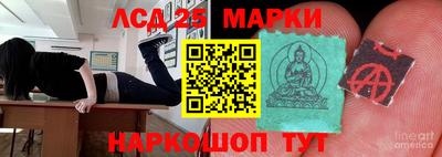 прущие крисы Донецк